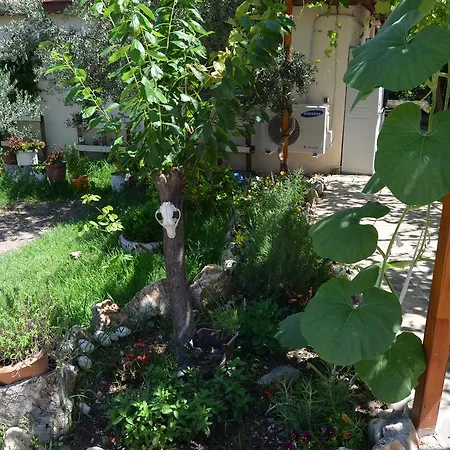 Beyoglu Apartament *